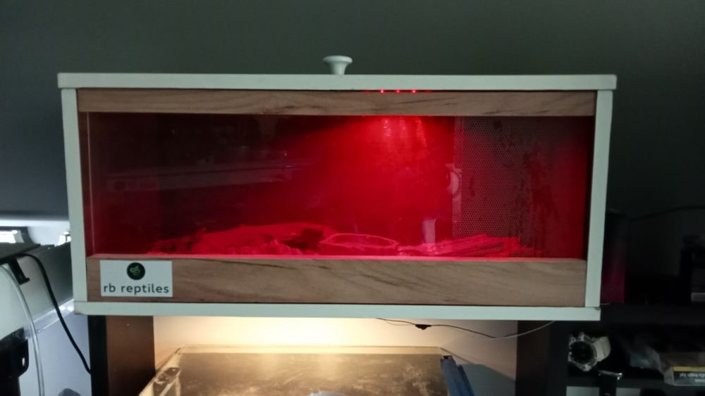 Terarium dla węża, gada, żółwia