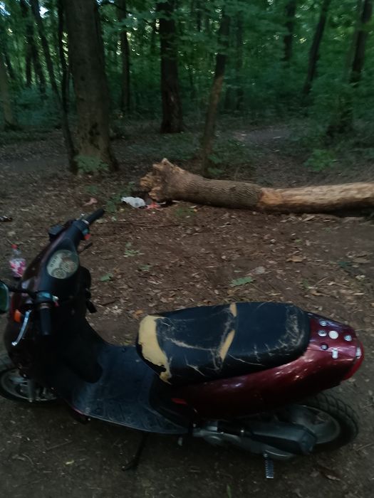 Скутер east dragon 80 кубов