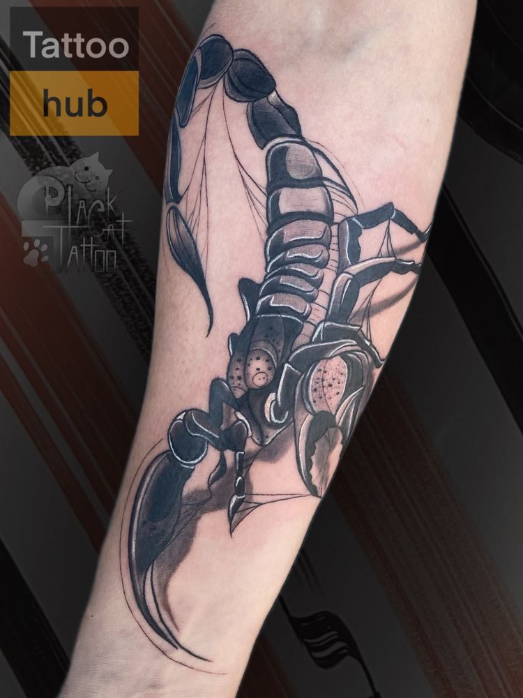 Татуювання в місті Канів. Тату в кредит. Tattoo hub. Юлія Коловратова