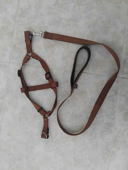 Peitoral e trela para cão (37-53cm)