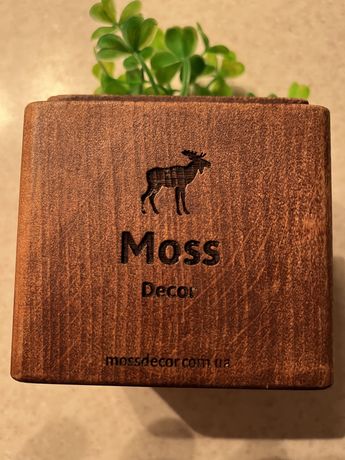 Оригинальная деревянная подставка под планшет торговой марки Moss deco