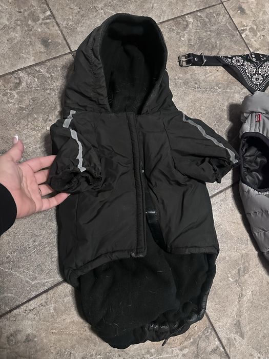 Жилетка комбінезон для француза/мопса М40