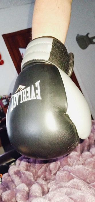 Боксерські перчатки Everlast