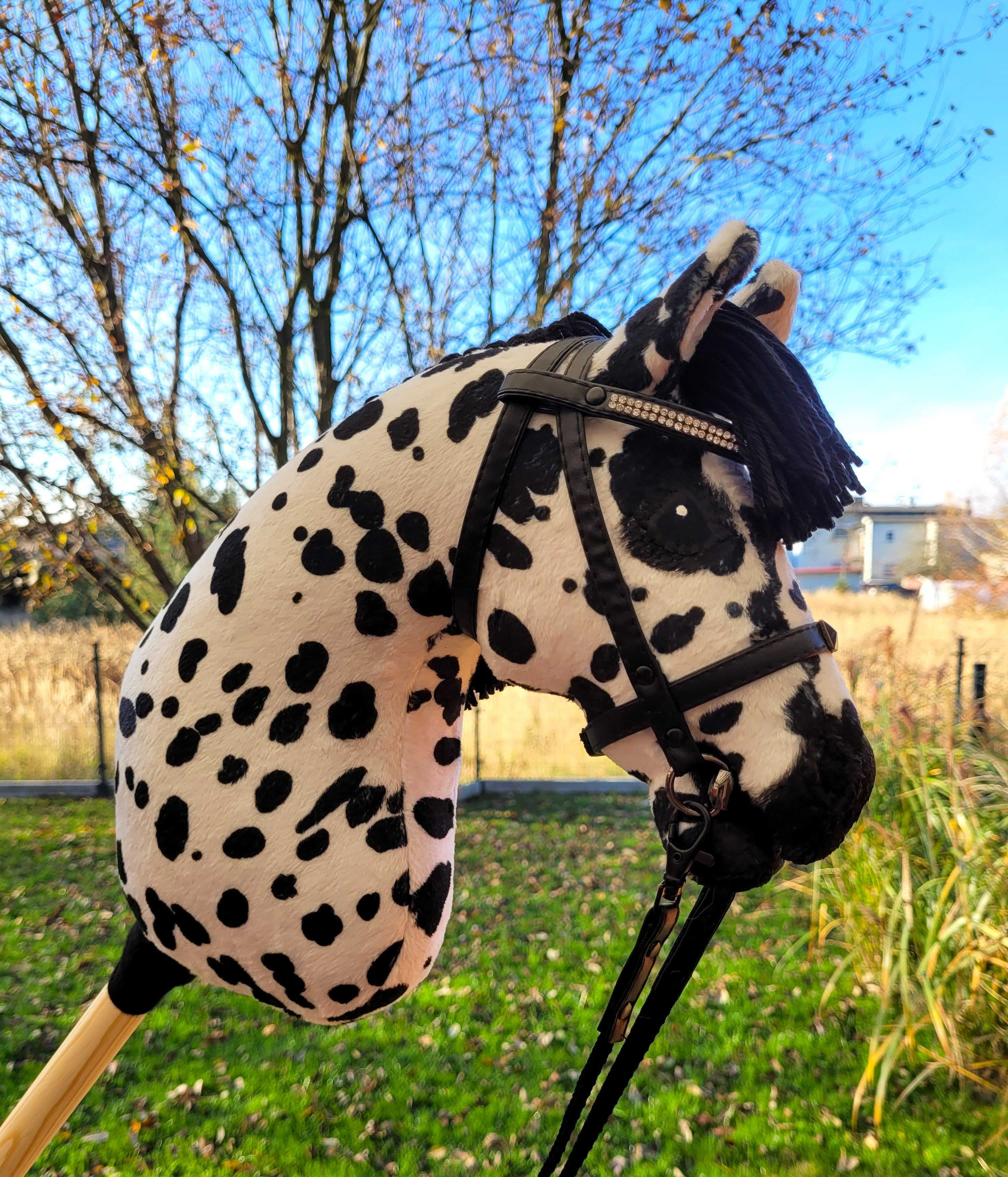 Hobby Horse, Konik na kiju, lekki, A4 do skoków #180