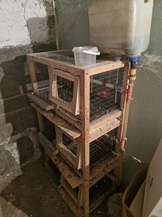 Клетки для перепелов и бройлеров