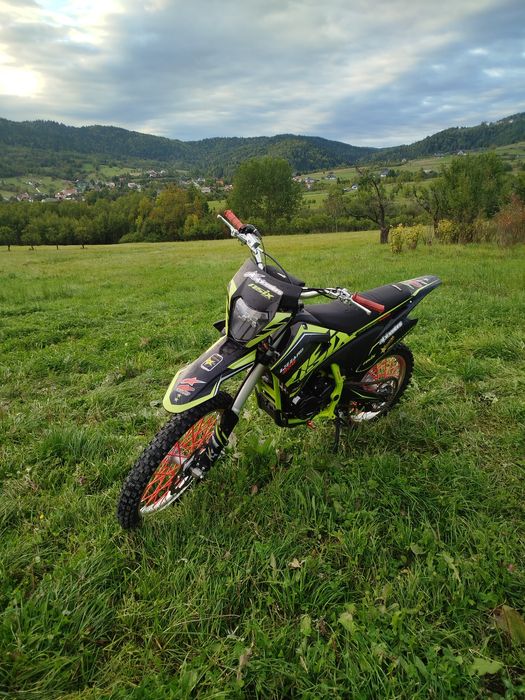 Asix 250cc lizard