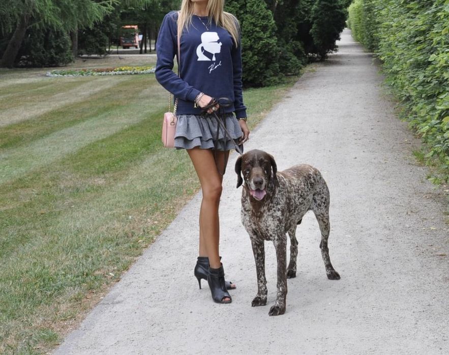 Bluza Karl Lagerfeld XS/34 granatowa