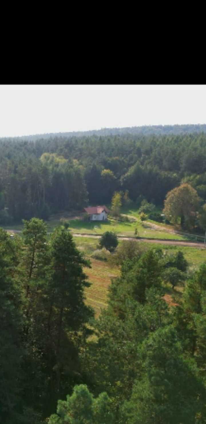 Domek willa na roztoczu
