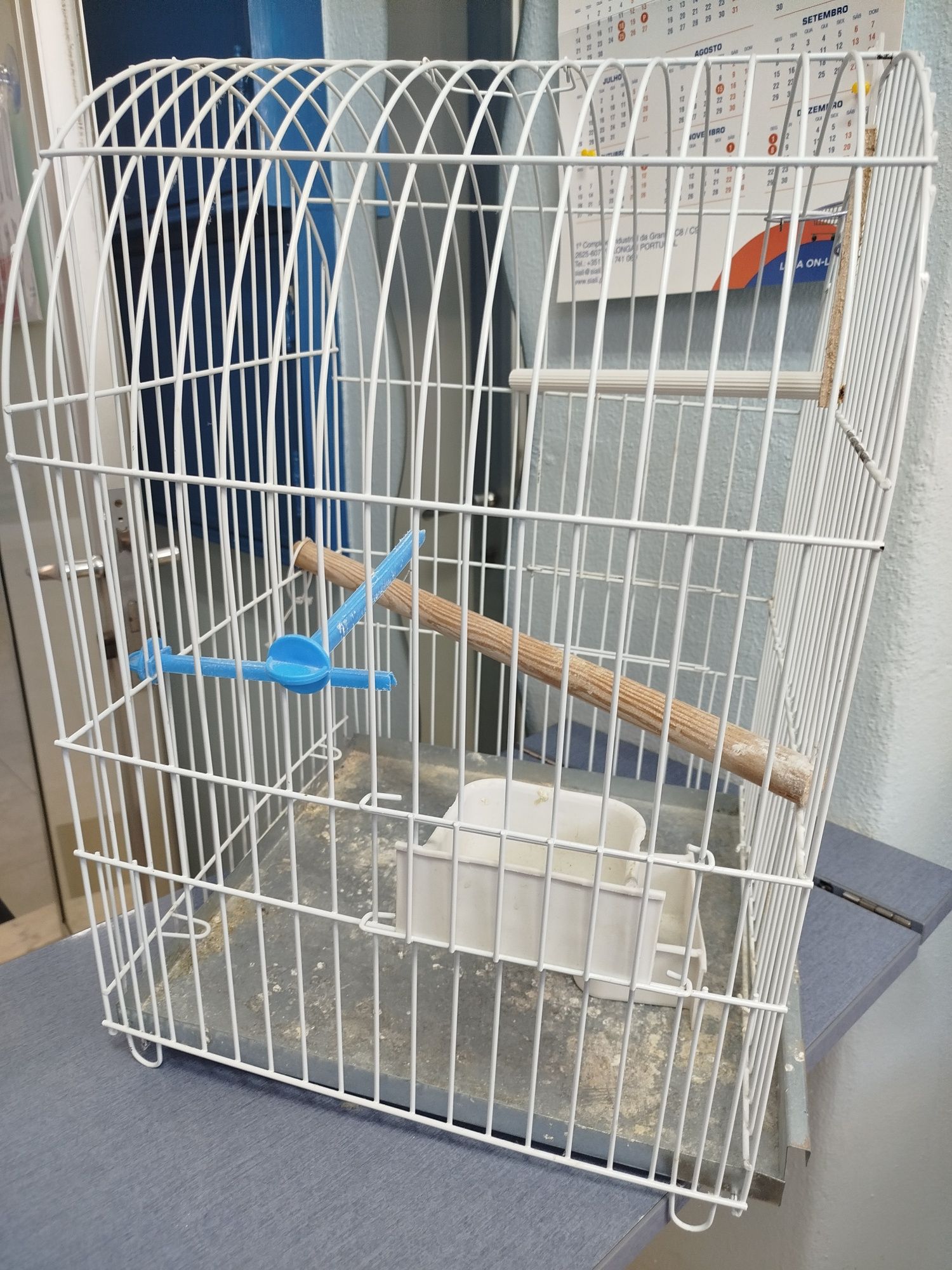 Gaiola para caturra