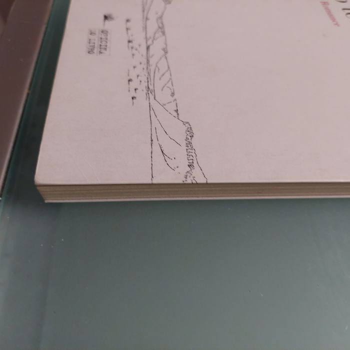 Livro 'No Teu Deserto'