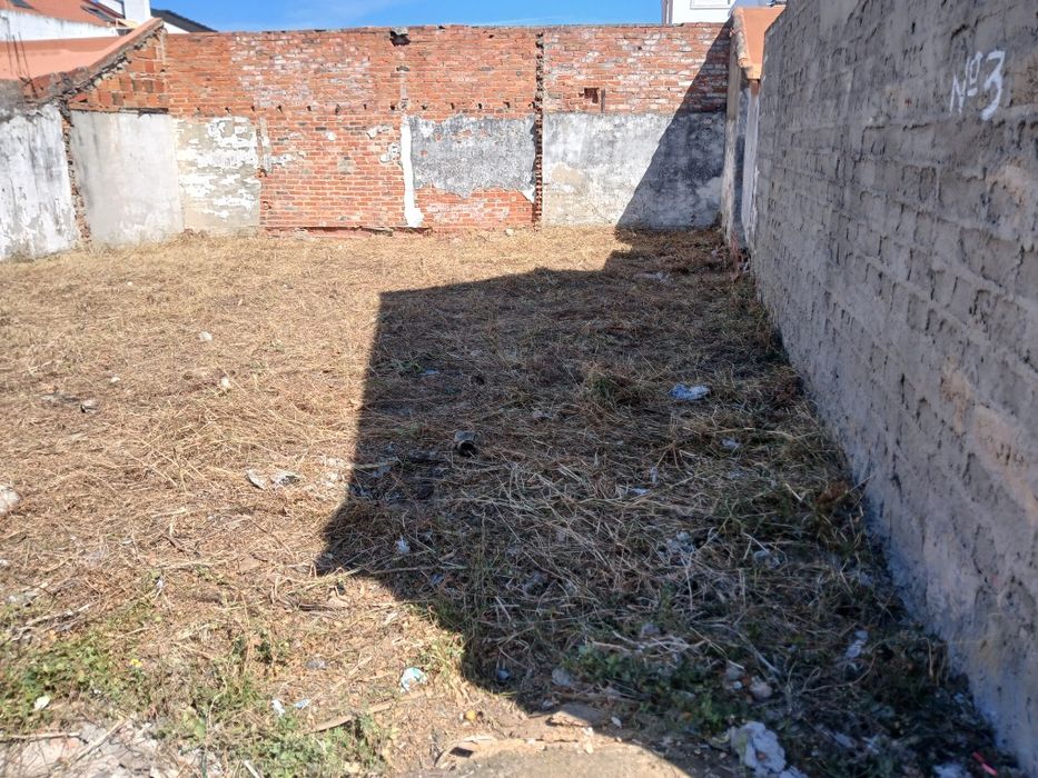 Limpeza de terrenos e manutenção jardins