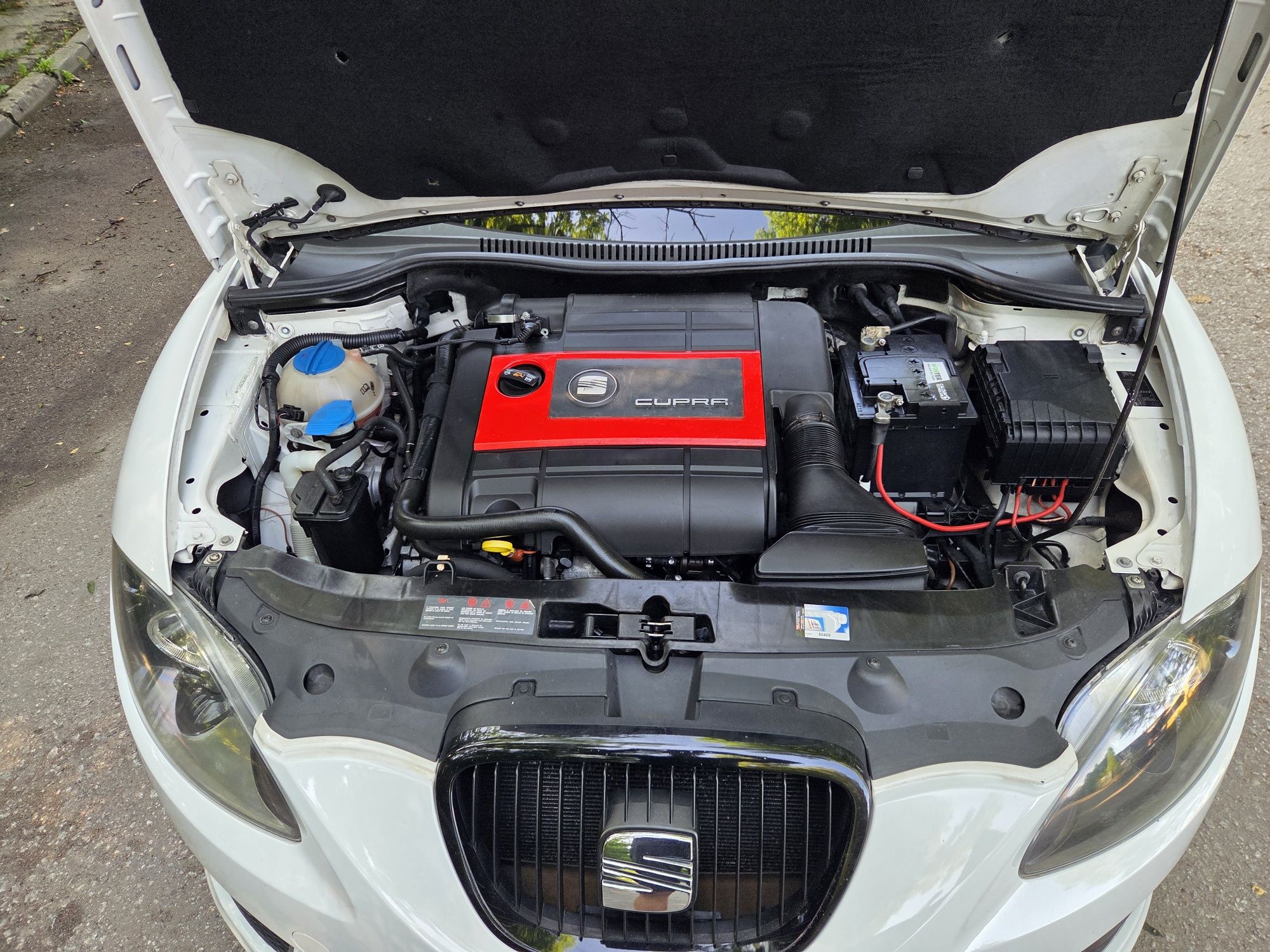 Seat Leon Cupra Streetcopa BWJ