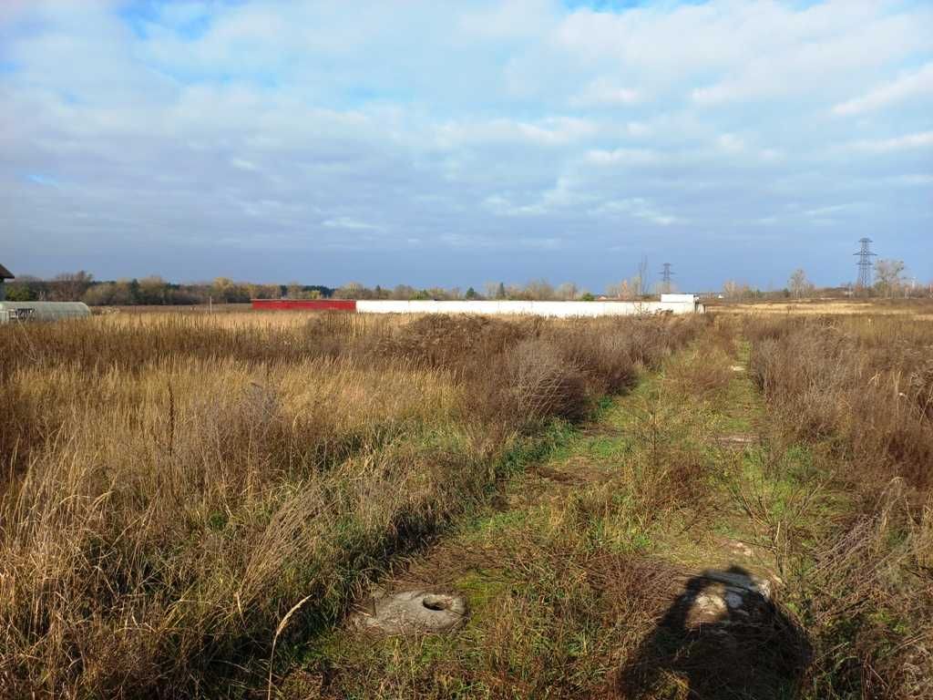 Ділянка 12 соток у Рожівці під забудову, на в’їзді в село