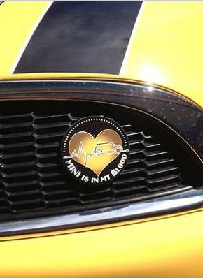 Badge para grelha de automóvel