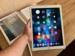 Apple Ipad Pro 12.9 2gen 256gb
