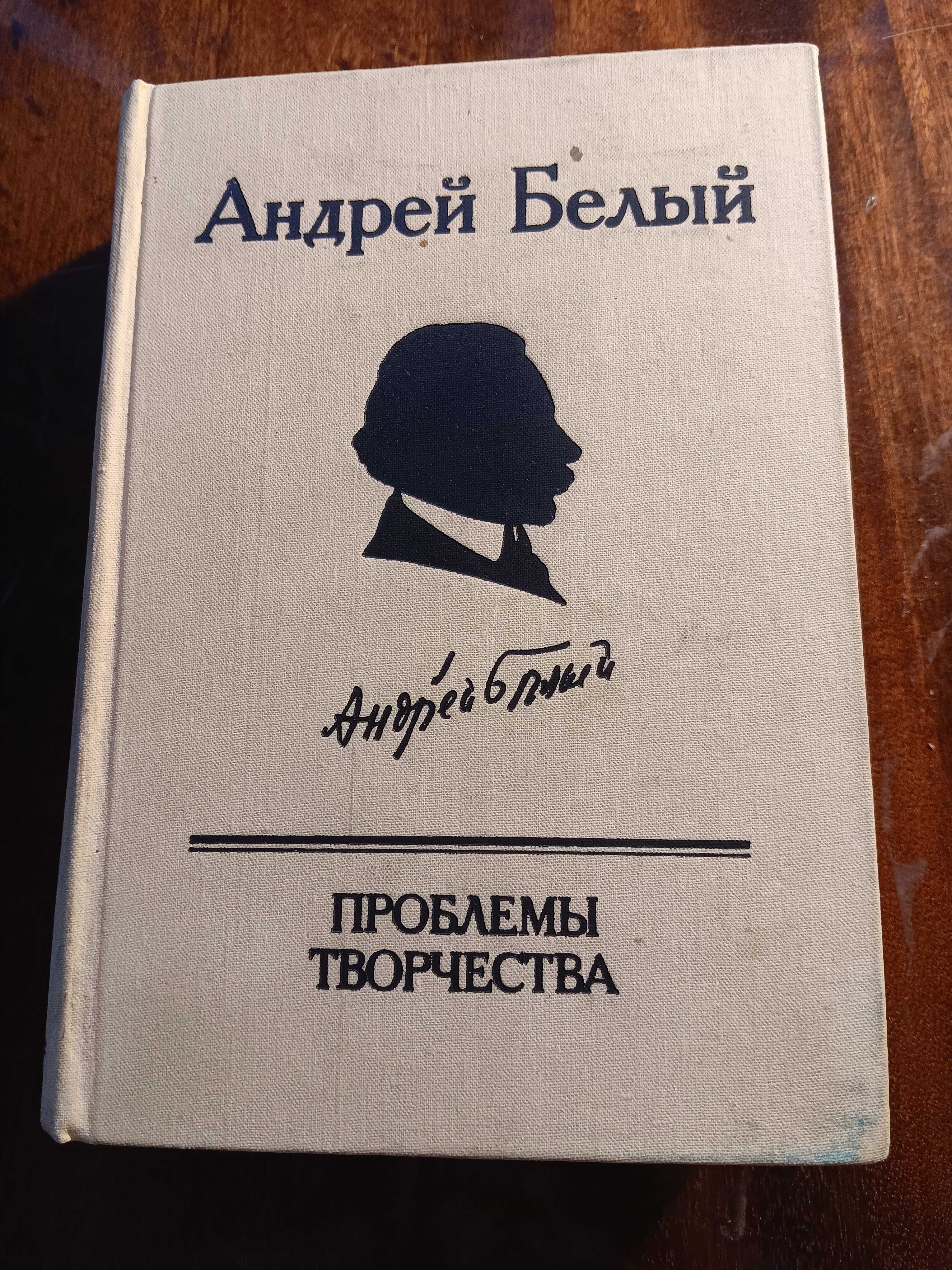 Саша Чёрный Андрей Белый Мелкий бес Андрей Белый Петербург Долгополов