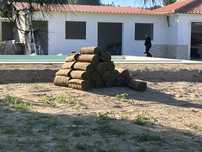 relva natural em tapete
