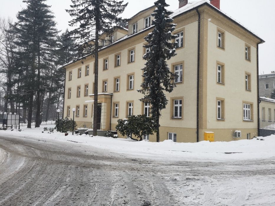 malowanie dachów elewacji usługi dekarskie papa termozgrzewalna