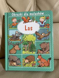 Nowa książka obrazki dla maluchów las twarde strony