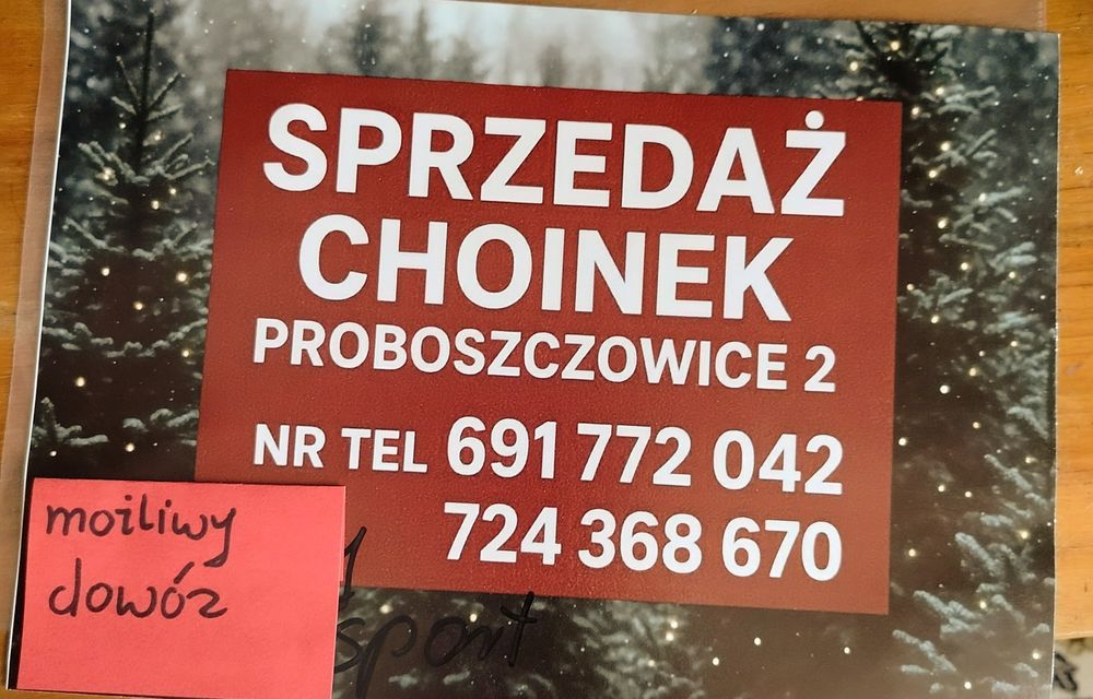 Sprzedam choinki Proboszczowice 2