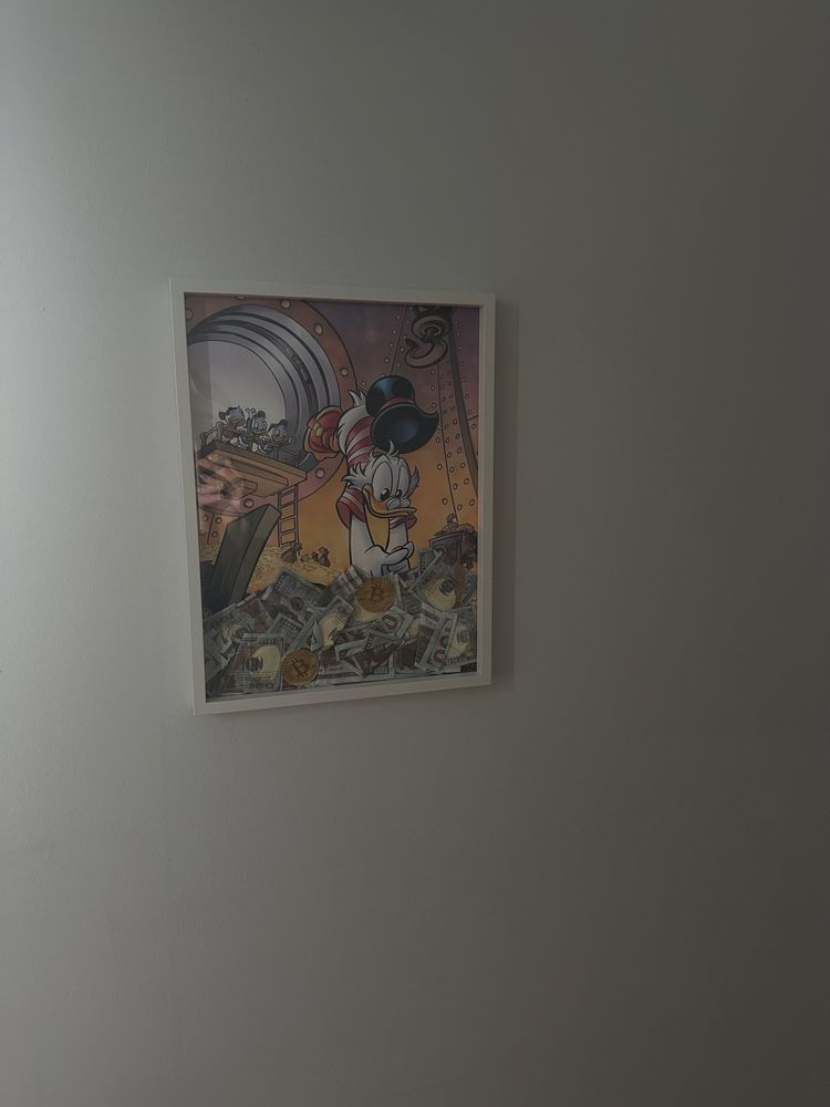 Obraz na prezent/ bajka/ 30x40 scroodge mcduck/ dollars/3d