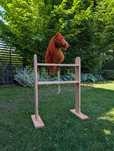 Stajnia / stojak dla hobby horse (na trzy konie)
