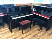 Pianino czarne  W.Hoffmann bechstein All Inclusive