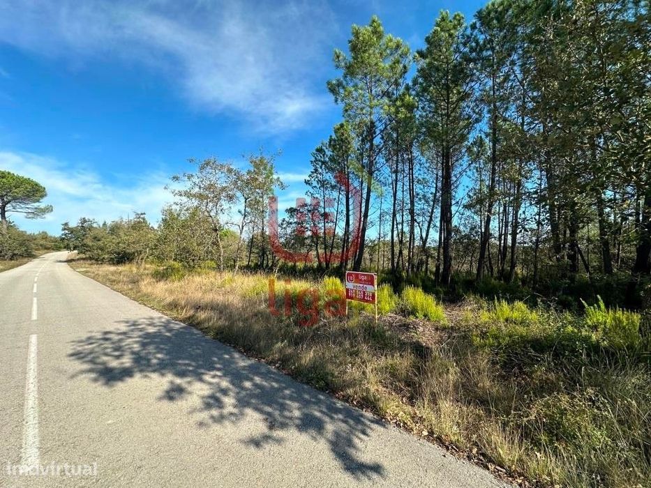 Terreno Rústico, Ourém!