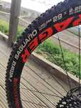 Bike coluer pronta para grandes pedaladas...