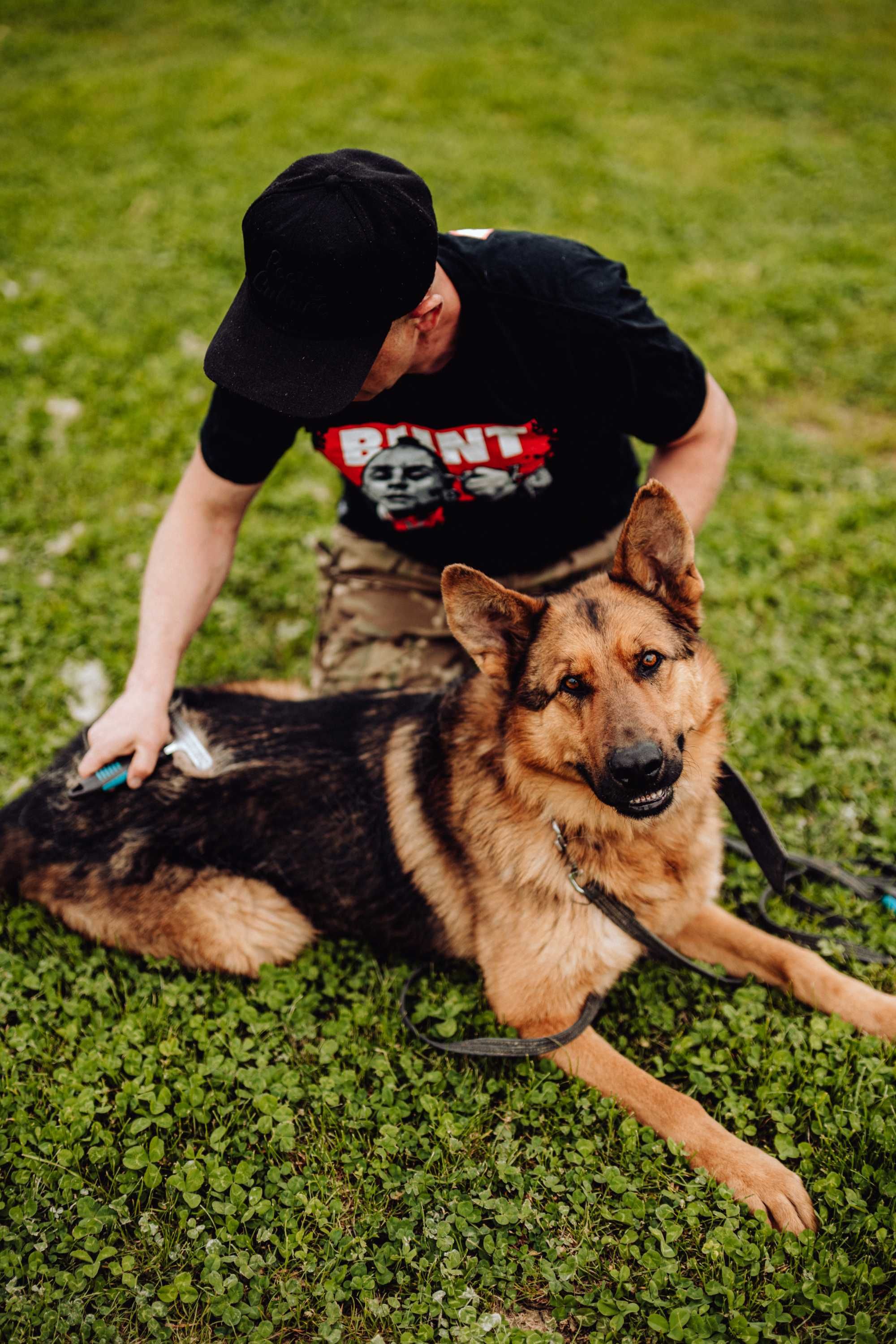 HOTEL DLA PSÓW/DOMOWY HOTELIK/Opiekun dla psa/dogsitter/