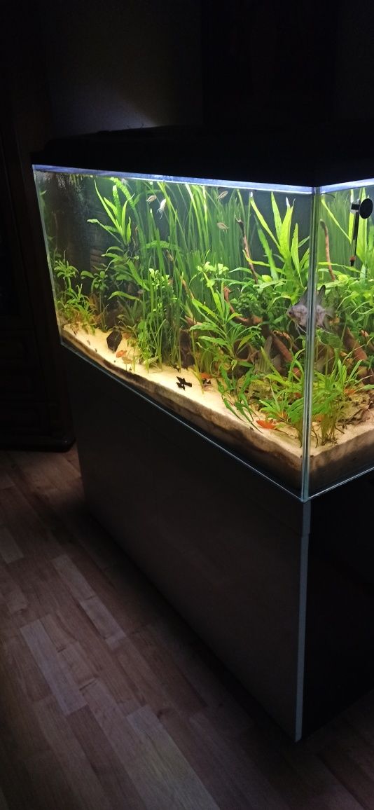 Akwarium 300 litrów plus szafka