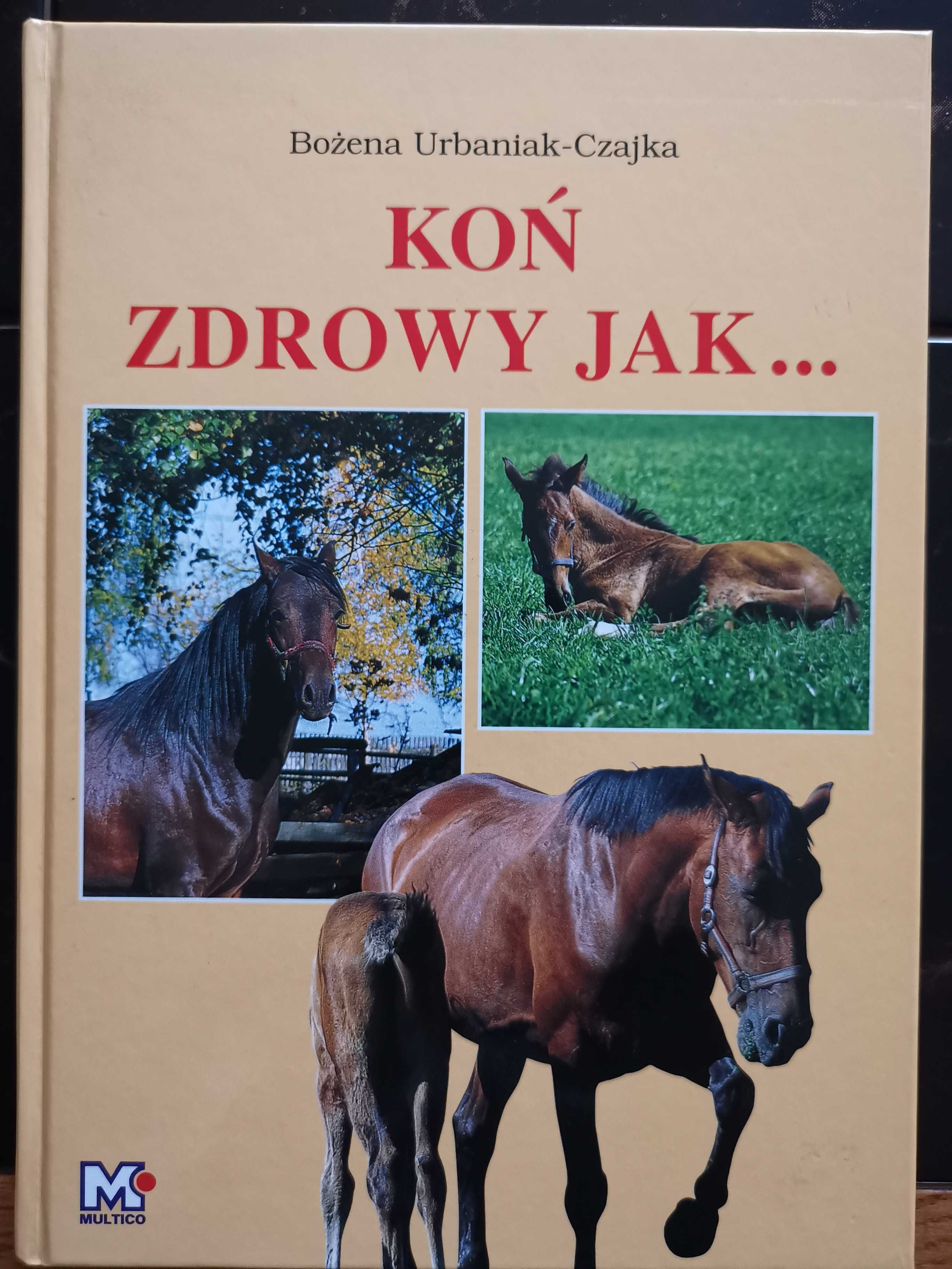 Koń zdrowy jak. Bożena Urbaniak-Czajka
