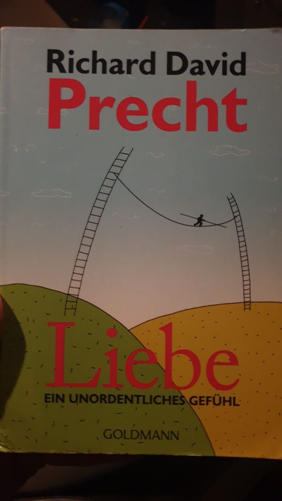 Liebe ein unordentliches Gefühl - Richard David Precht
