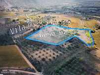 Terreno  para venda