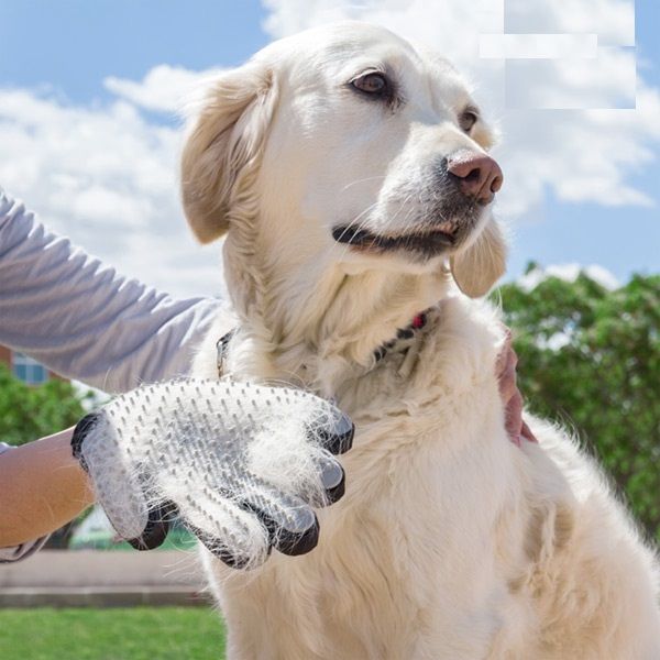 Escova Luva para cães e gatos - Remover Pêlo