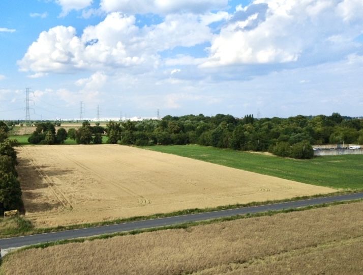 Działka budowlano-usługowa 1ha, Krzyżowice