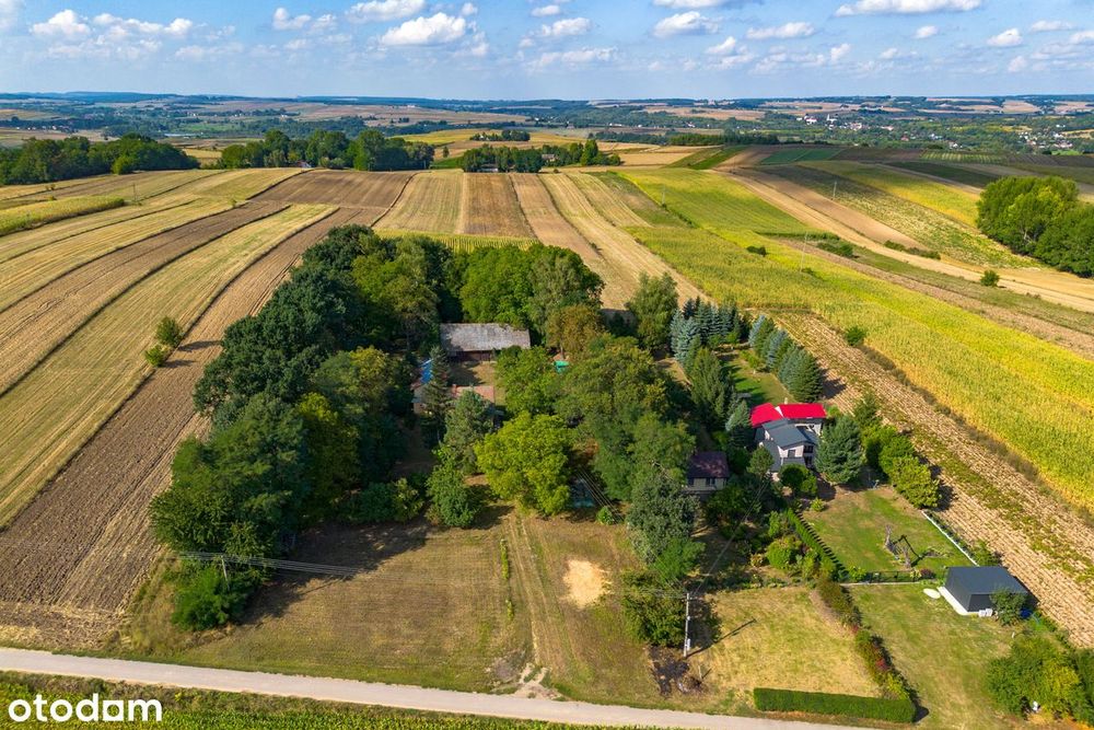 Działka 56 Arów+Dom Wolnostojący|Stodoła_piwnica_ogród|Tylko U Nas