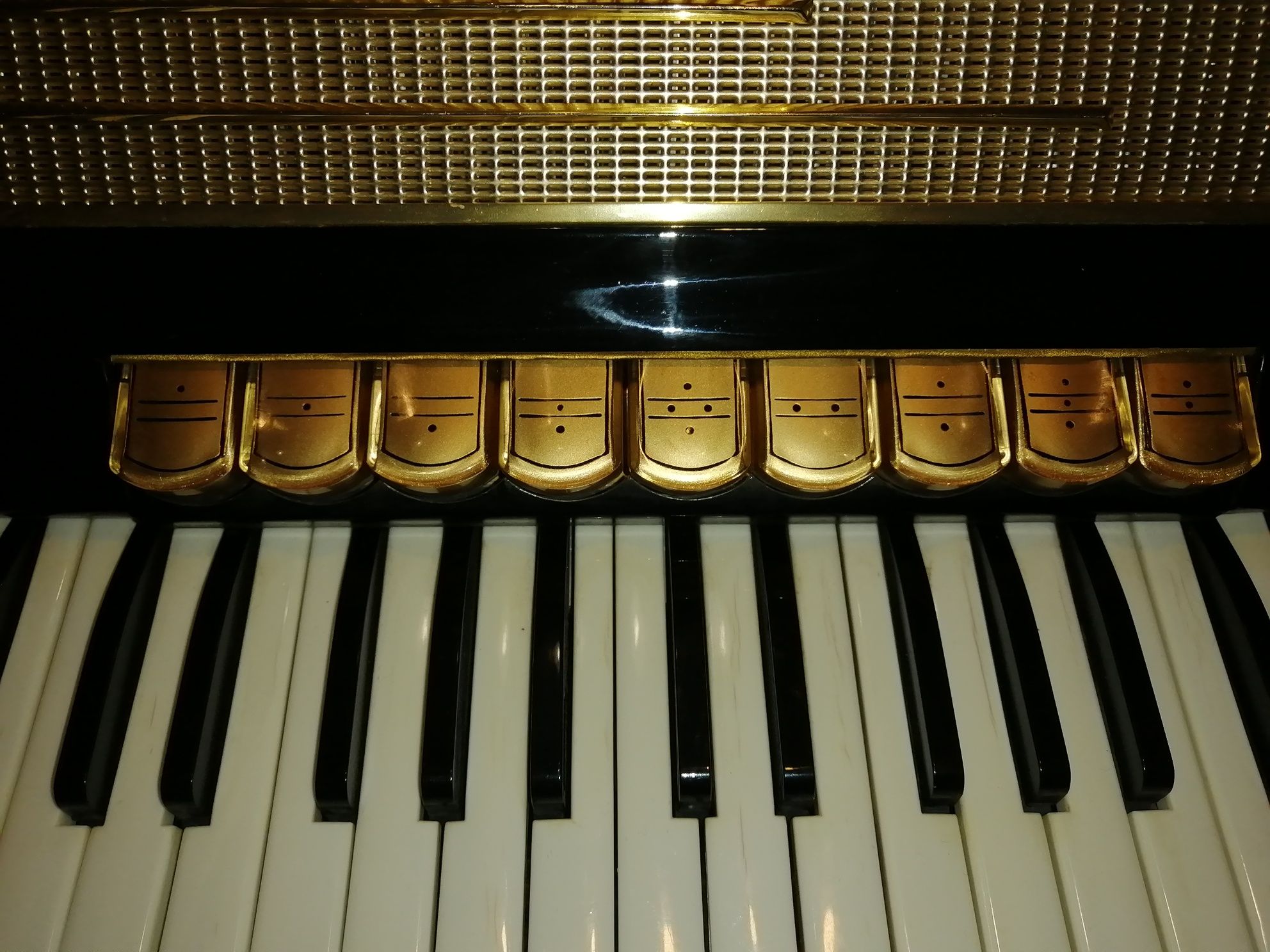 Hohner Pirola IVP 120 basów
