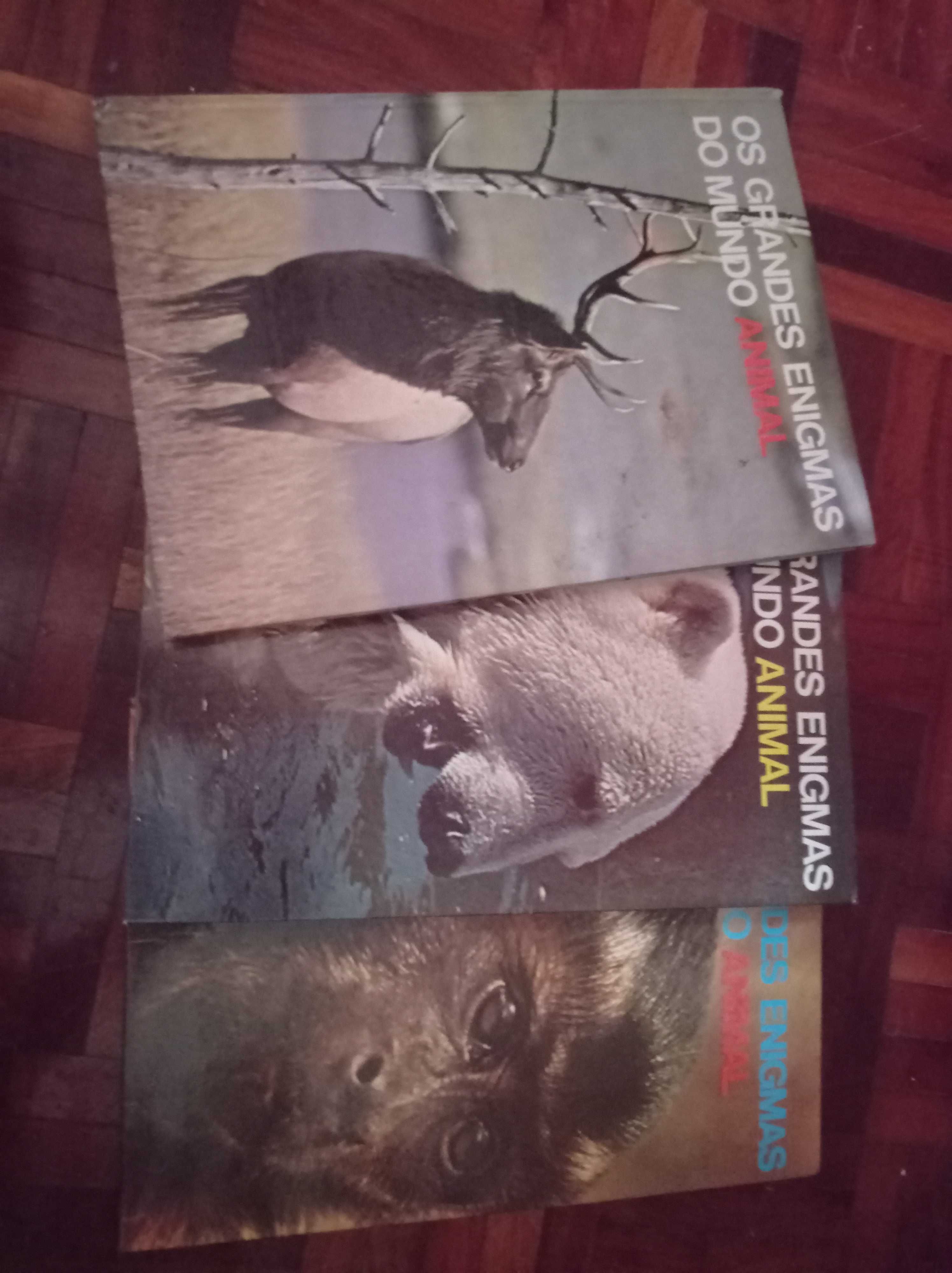 Coleção livros grandes enigmas do mundo animal