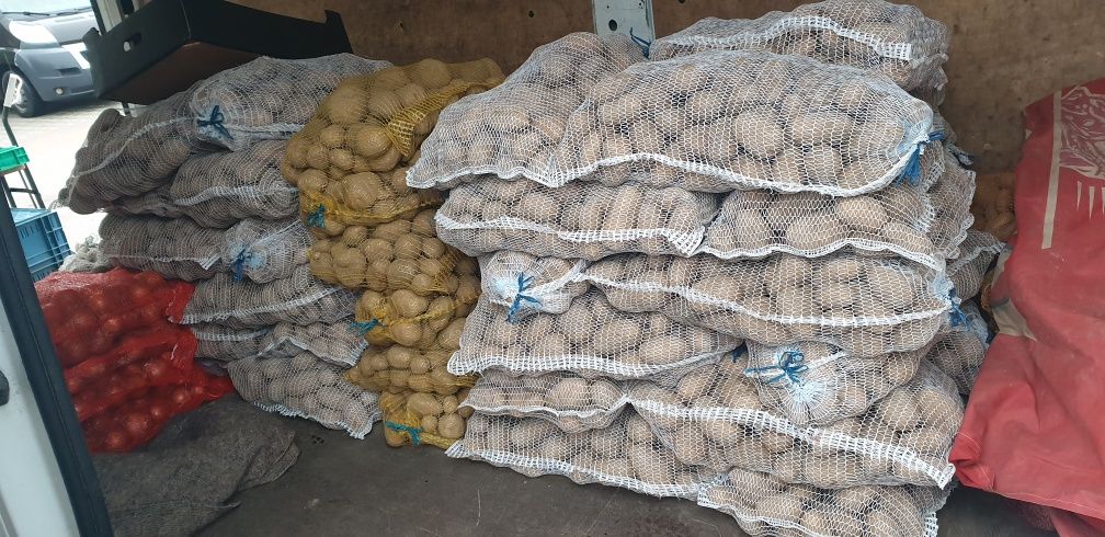 Ziemniaki Jadalne Bellarosa