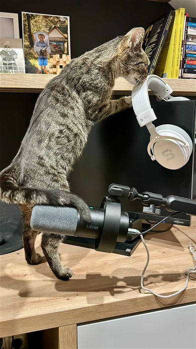 Pyszna Szarlotka tak domowa i słodka to kotka.