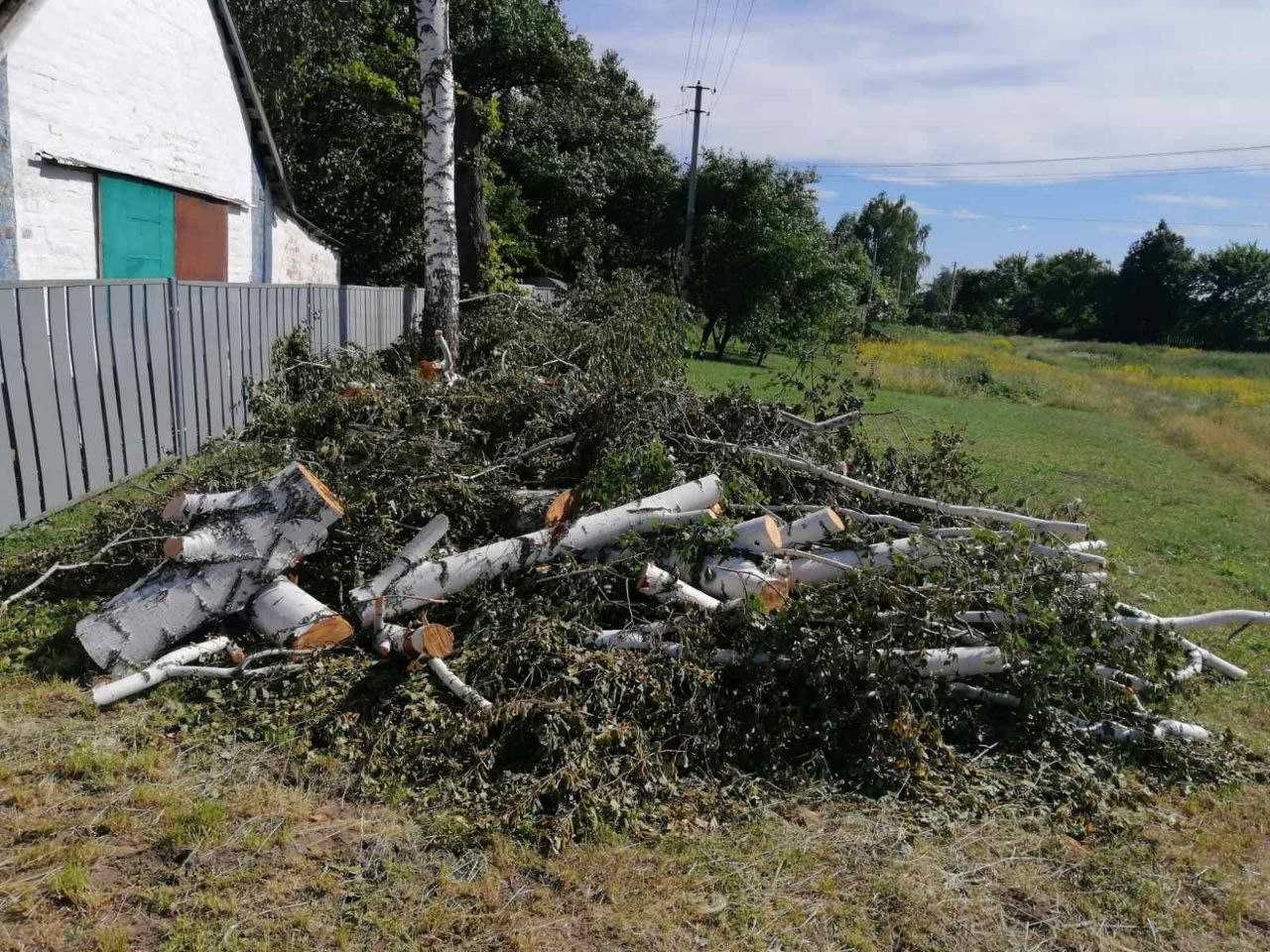 Продам дрова не гнилі, самовивіз