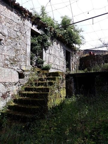 Quinta com projeto de recuperação