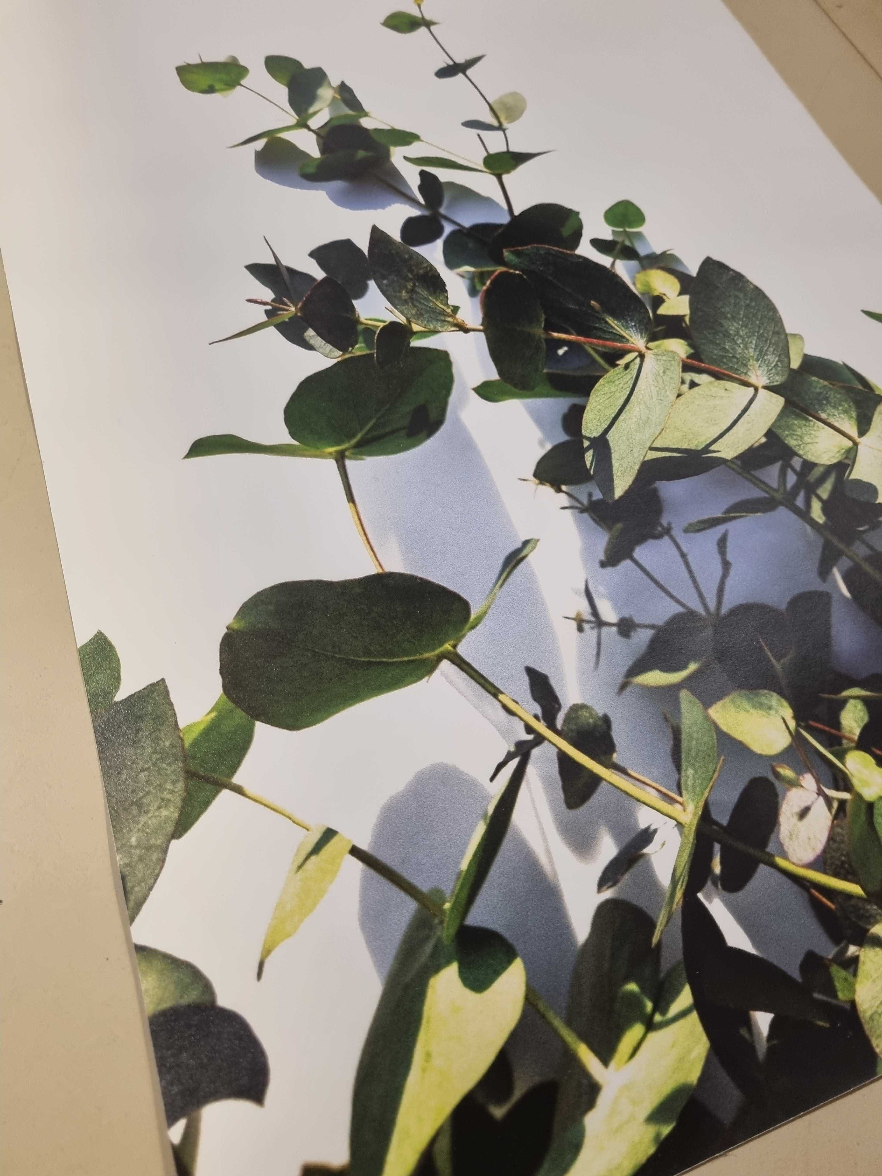 2 plakaty do ramy sowa eukaliptus 40x50 poster