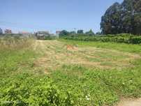 Terreno com 750 m² em Fermentelos