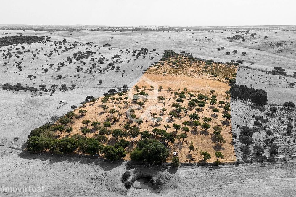 Terreno Rústico de 2,725 ha c/ Pequena Nascente para Exploração Agríco