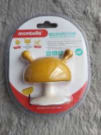 Mombella gryzak mushroom