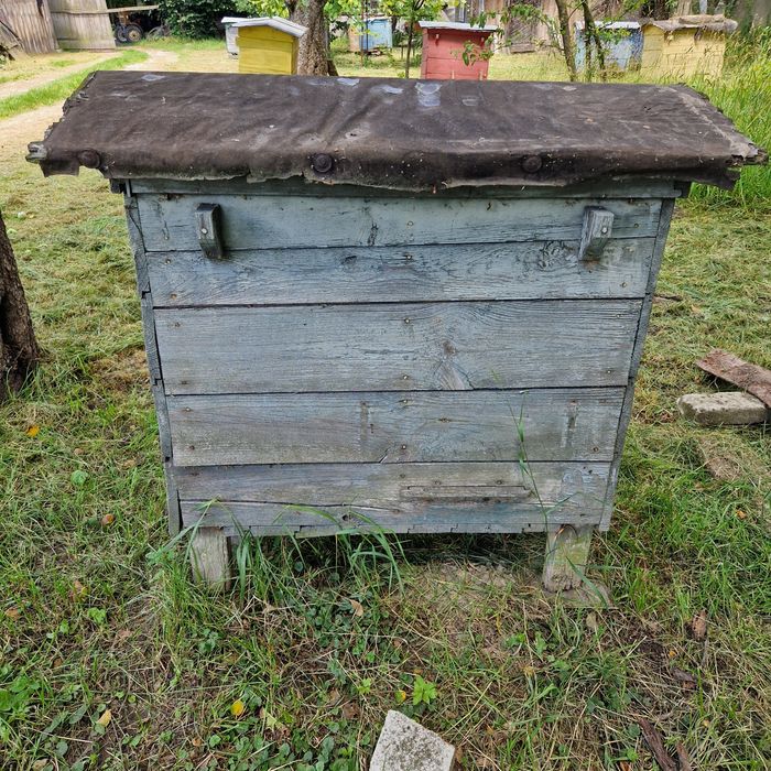 Ule warszawskie poszerzane solidne