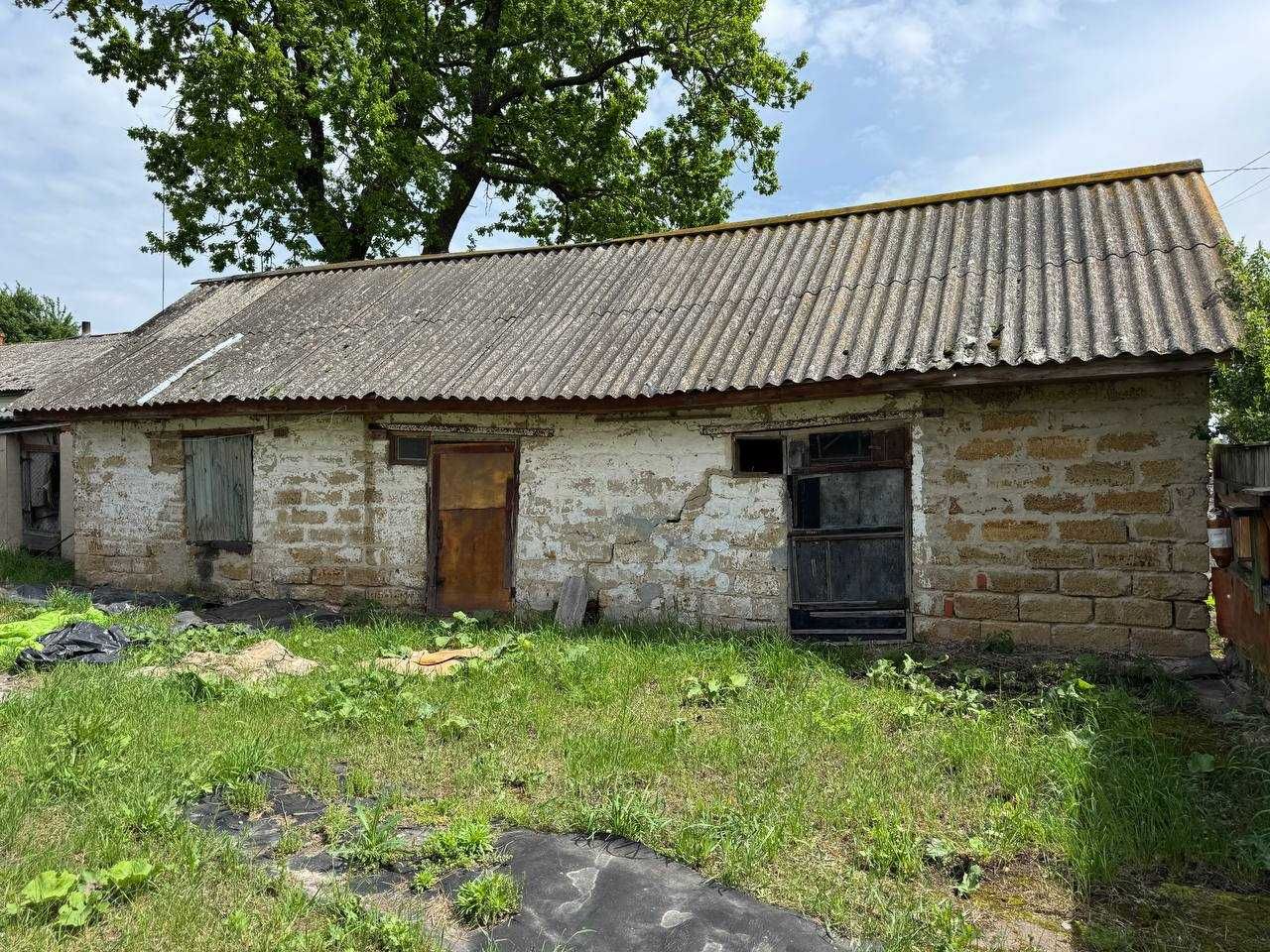 Будинок в Новому Білоусі