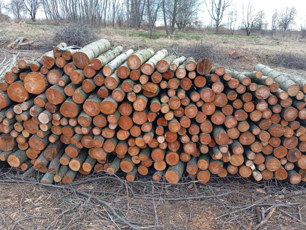 Drewno na opał olcha
